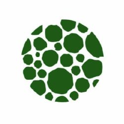 logo_1-02
